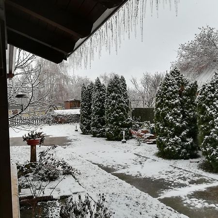 Holt-Tisza Vendeghaz Otel Segedin Dış mekan fotoğraf