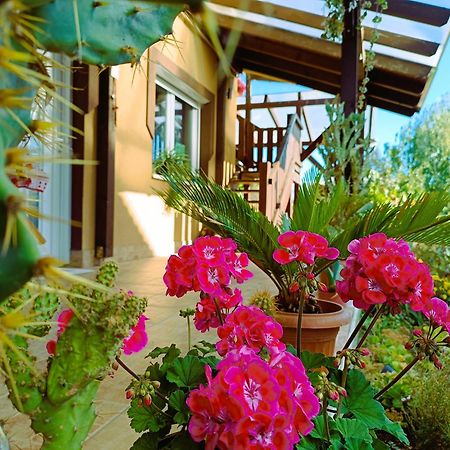 Holt-Tisza Vendeghaz Otel Segedin Dış mekan fotoğraf