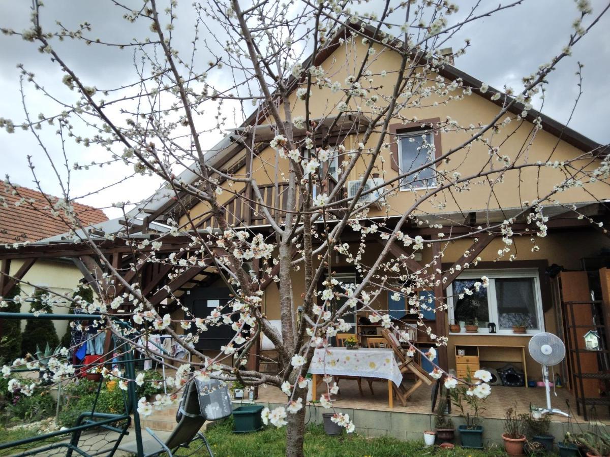 Holt-Tisza Vendeghaz Otel Segedin Dış mekan fotoğraf