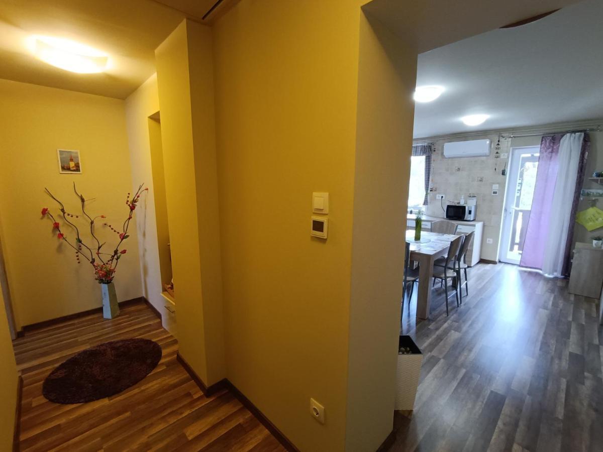 Holt-Tisza Vendeghaz Otel Segedin Dış mekan fotoğraf