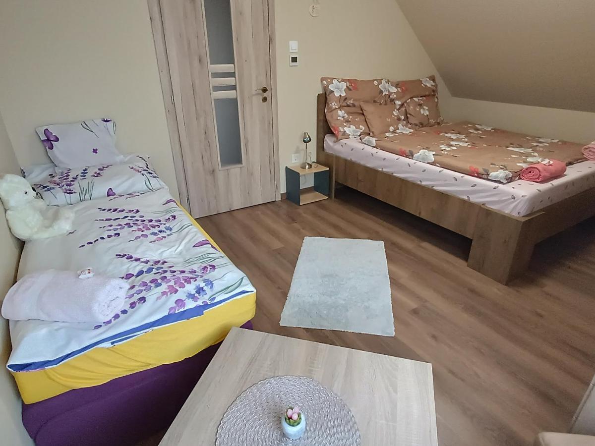 Holt-Tisza Vendeghaz Otel Segedin Dış mekan fotoğraf