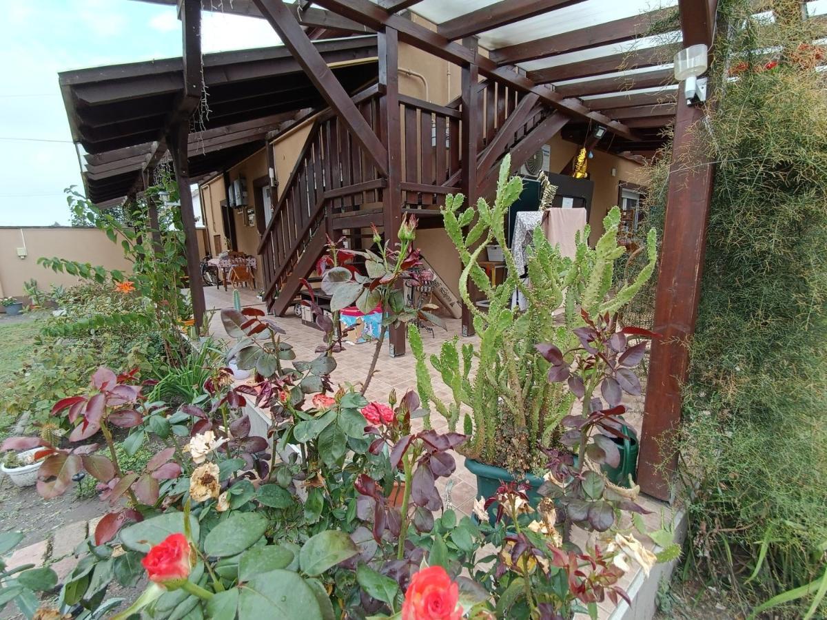 Holt-Tisza Vendeghaz Otel Segedin Dış mekan fotoğraf