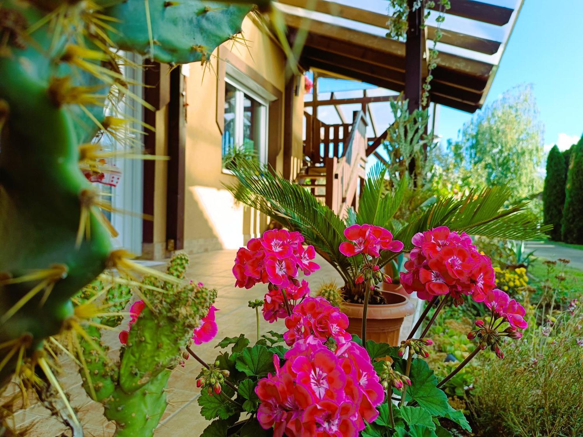Holt-Tisza Vendeghaz Otel Segedin Dış mekan fotoğraf