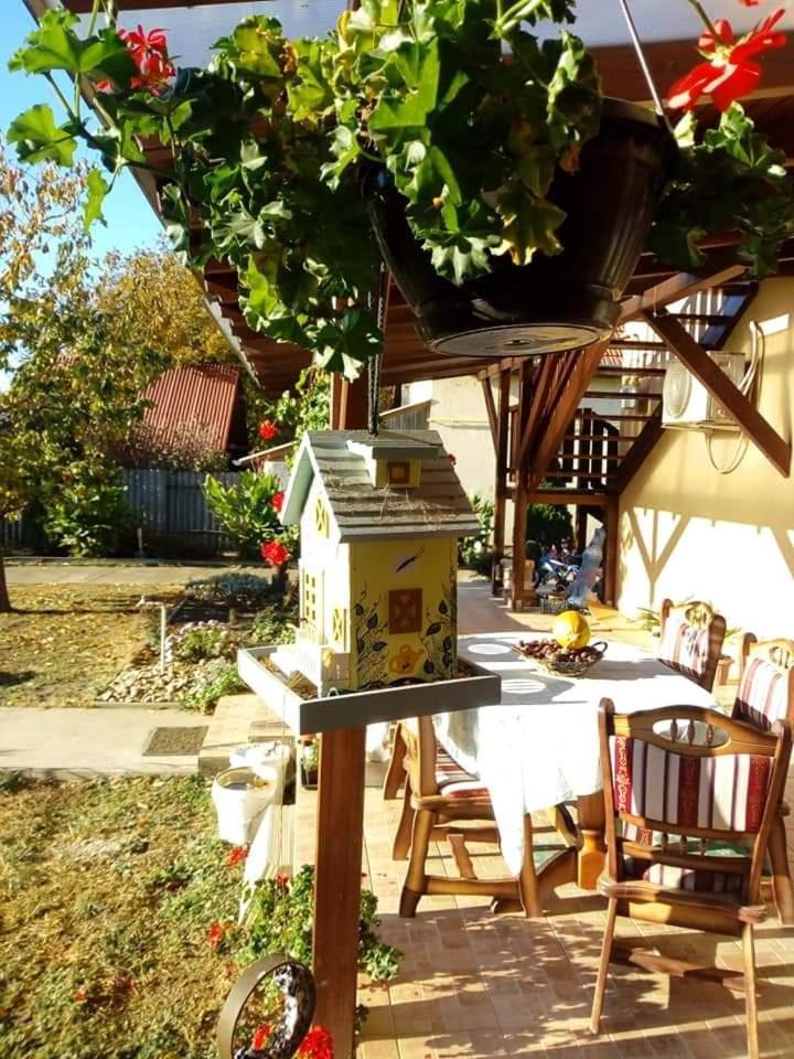 Holt-Tisza Vendeghaz Otel Segedin Dış mekan fotoğraf