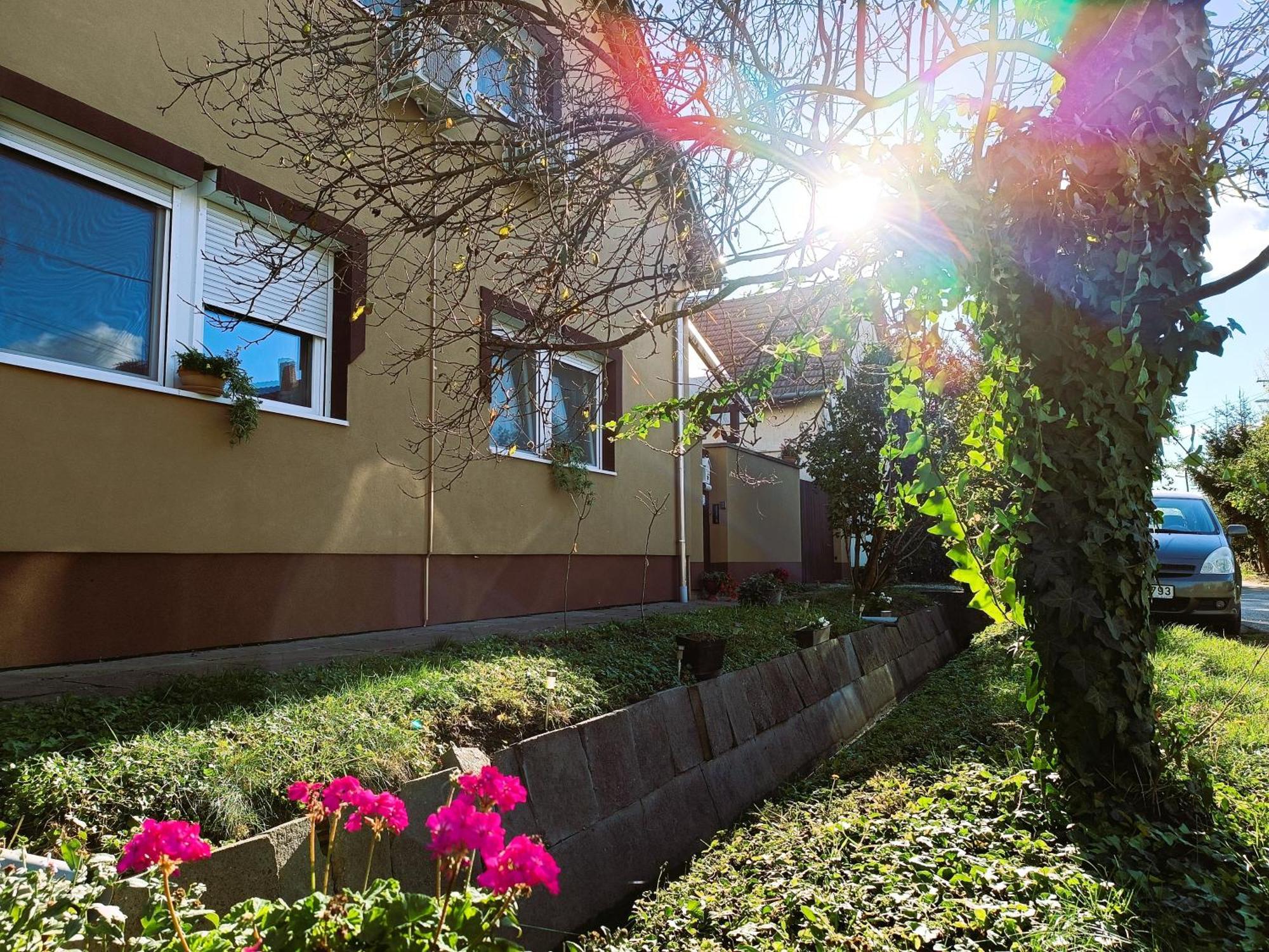Holt-Tisza Vendeghaz Otel Segedin Dış mekan fotoğraf