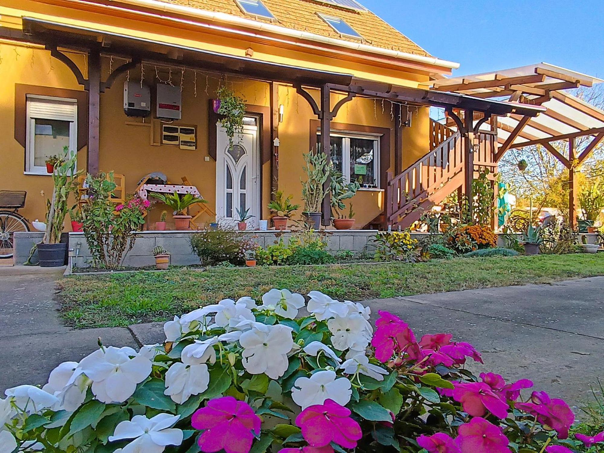 Holt-Tisza Vendeghaz Otel Segedin Dış mekan fotoğraf