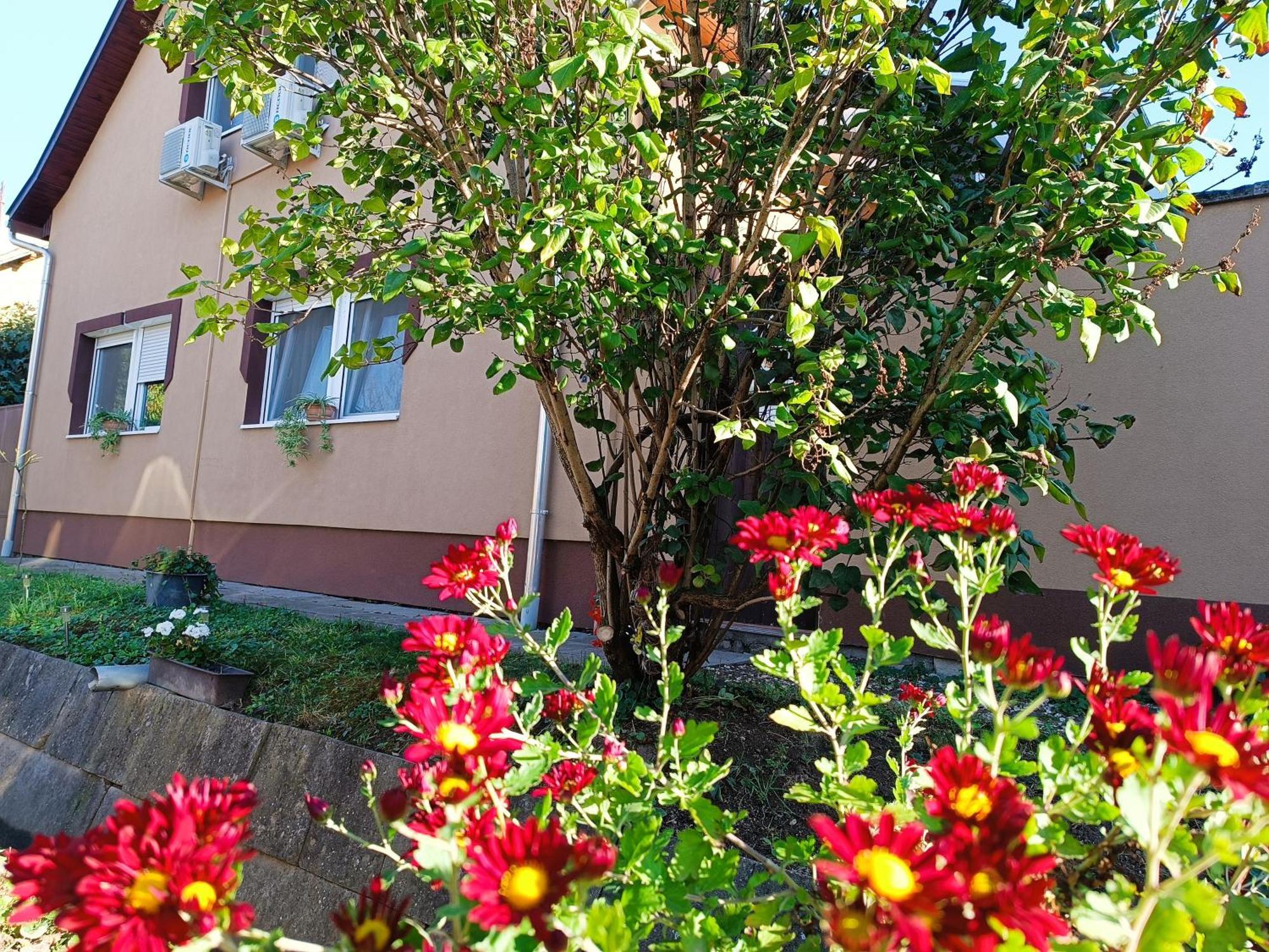 Holt-Tisza Vendeghaz Otel Segedin Dış mekan fotoğraf